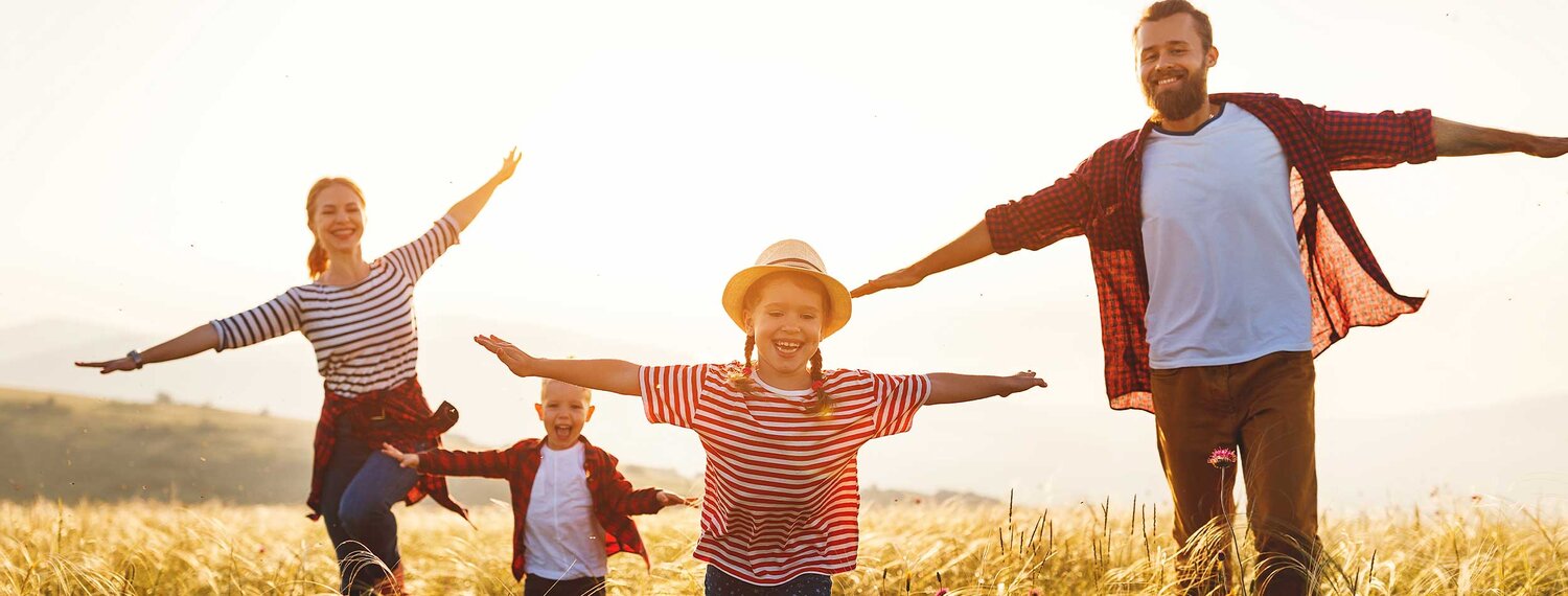 lindsay giguiere, herban goods, contact hero image